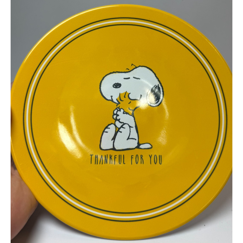 Peanuts Snoopy Pottery Barn Thanksgiving Holiday 5 Piece Plate Set Kids Melamine - Picture 7 of 8